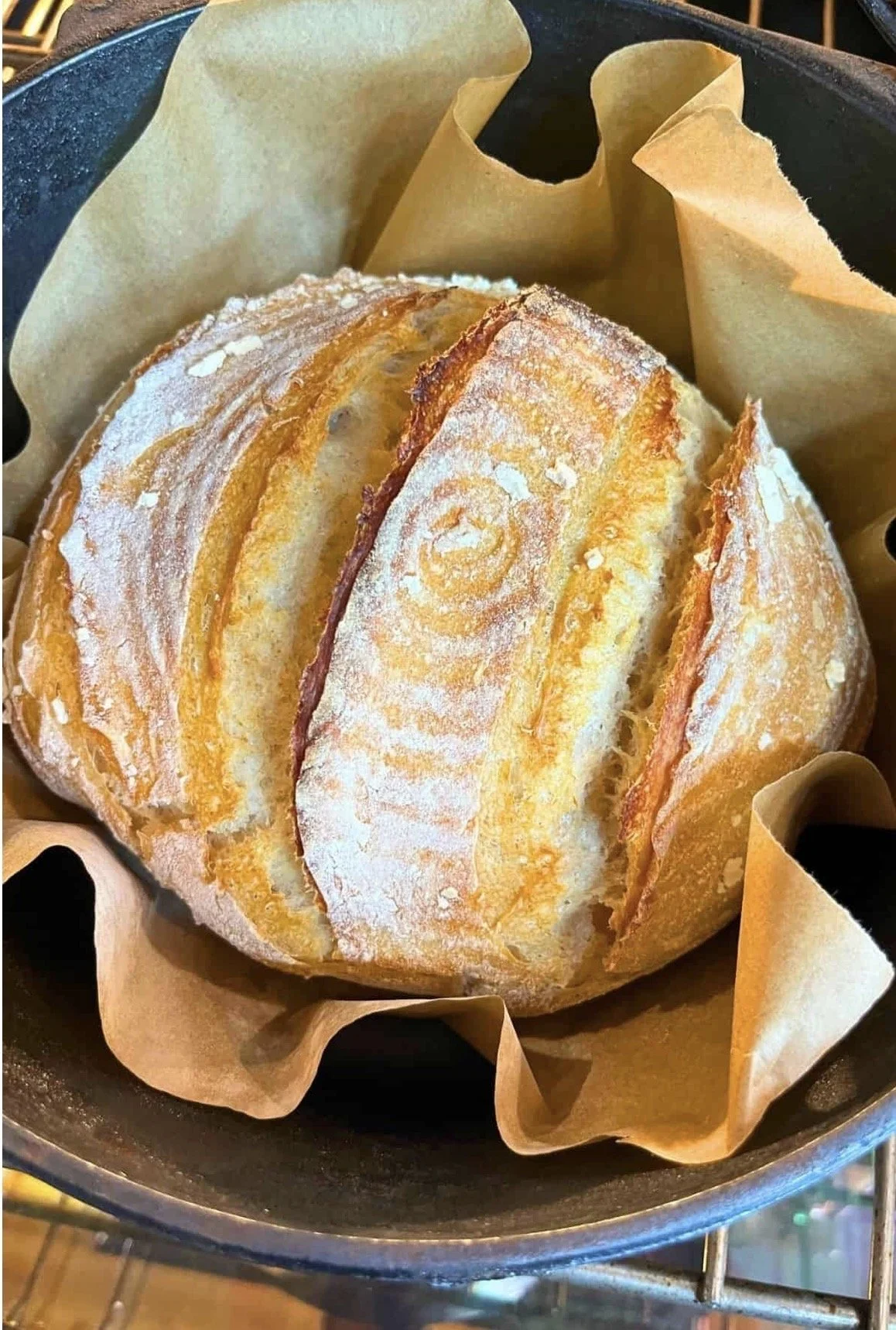 Plain Doughlia Loaf