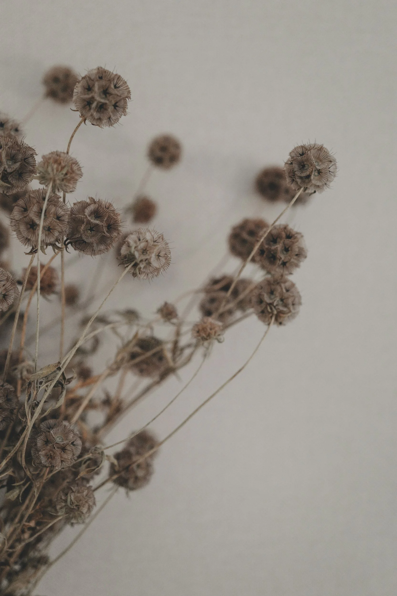 What to Expect from a Psychological Assessment | Central Coast | Children, Teens &amp; Adults