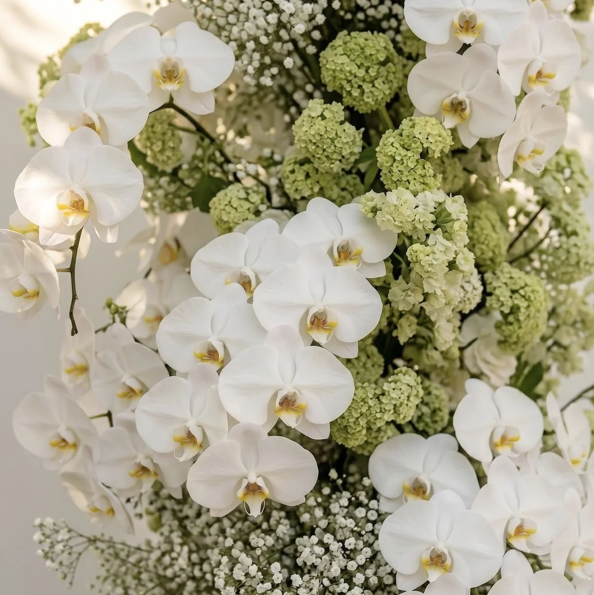Close-up of a floral arrangement featuring white orchids, green hydrangeas, and small white filler flowers.