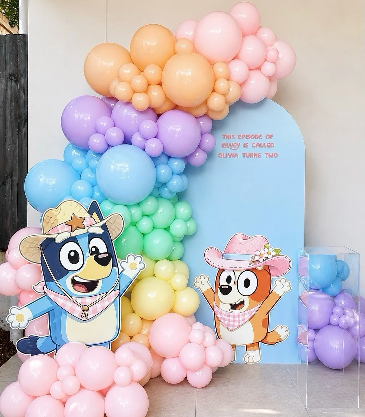 Wackadoo! Olivia is TWO! 💕💙

Bringing a little Bluey magic to Olivia&rsquo;s 2nd birthday with our Bluey themed character stands, pale blue Willow arch backdrop, organic balloon garland and clear cake plinth.

A beautiful, fun and pastel party sett