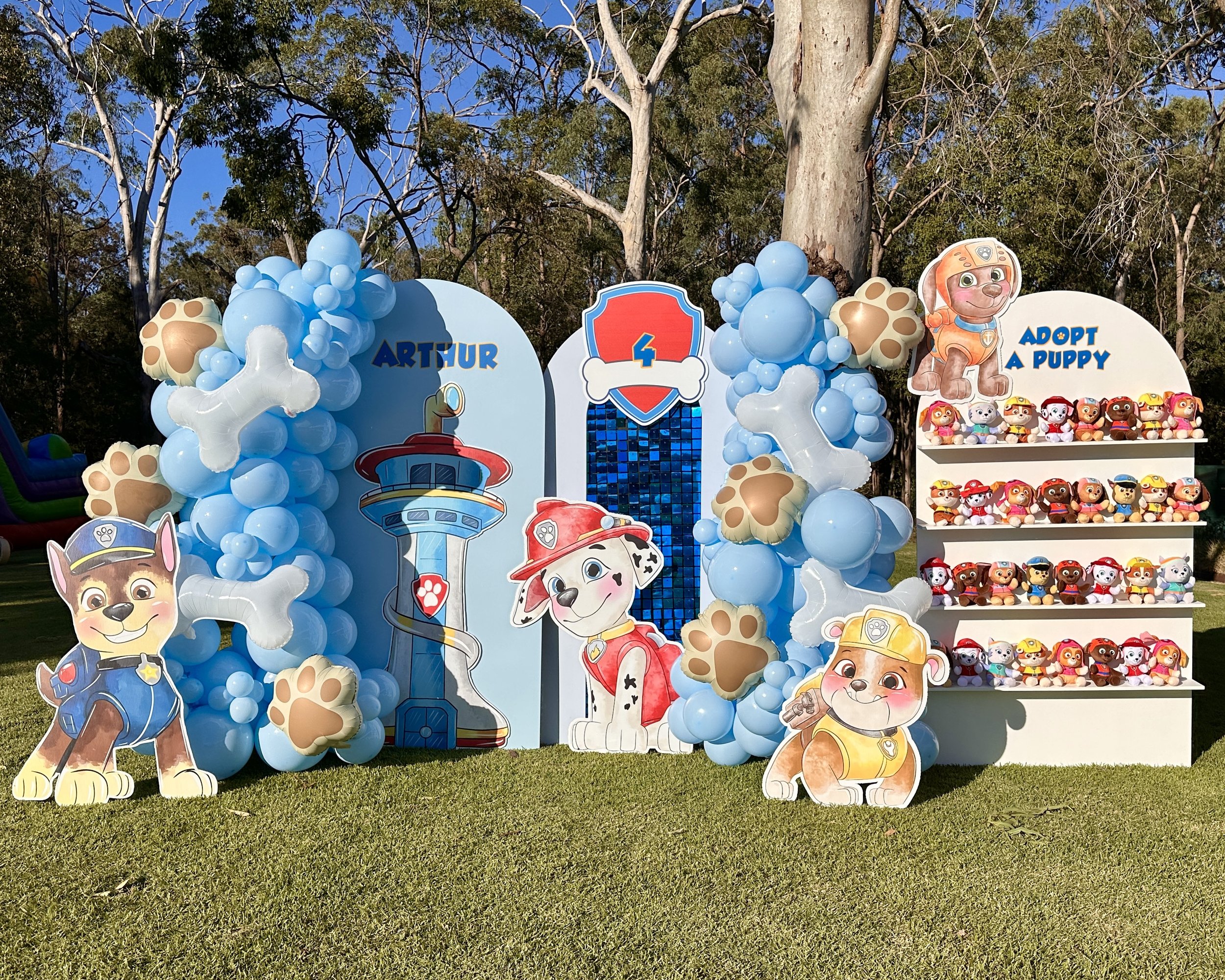 Paw Patrol.JPG
