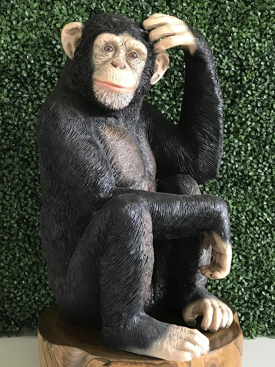 SITTING CHIMP.jpeg