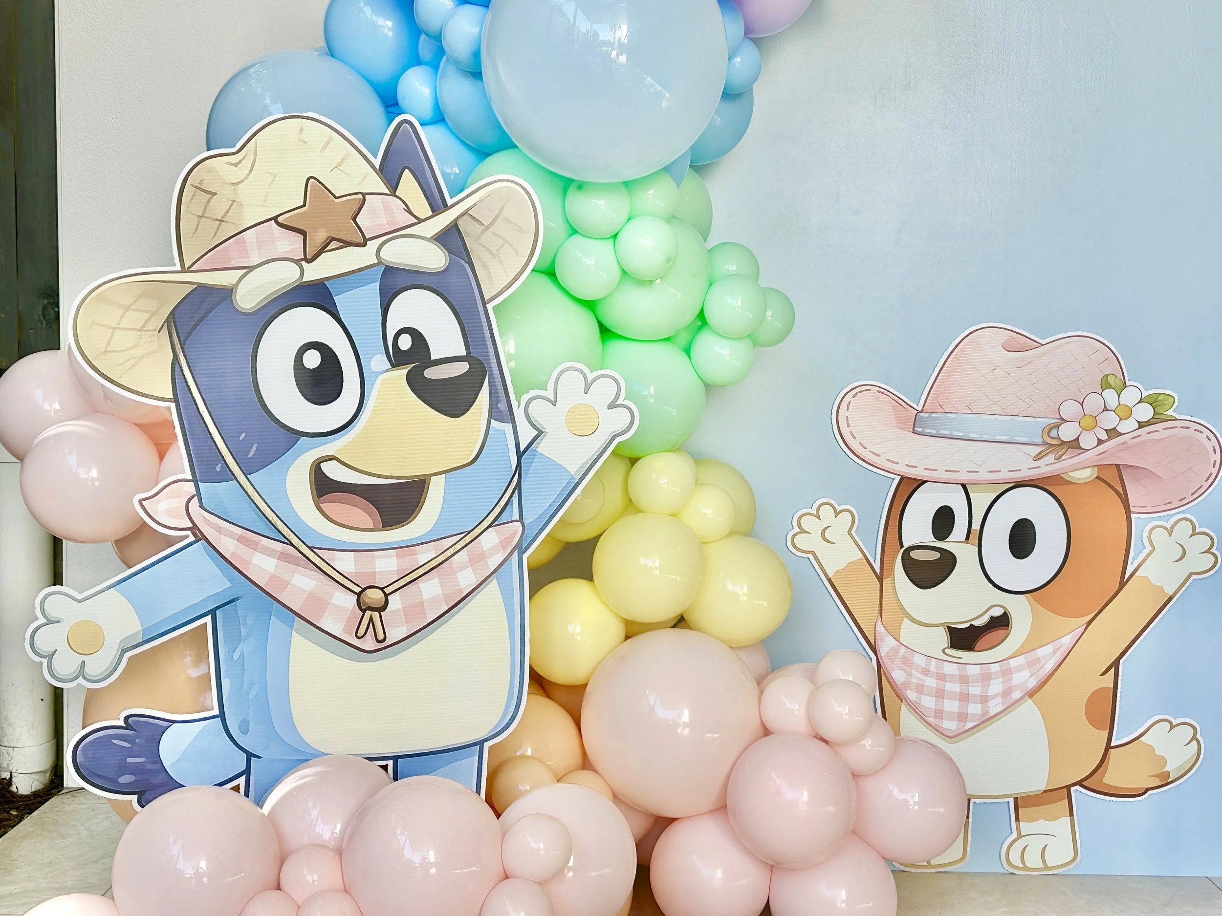 Bluey party props