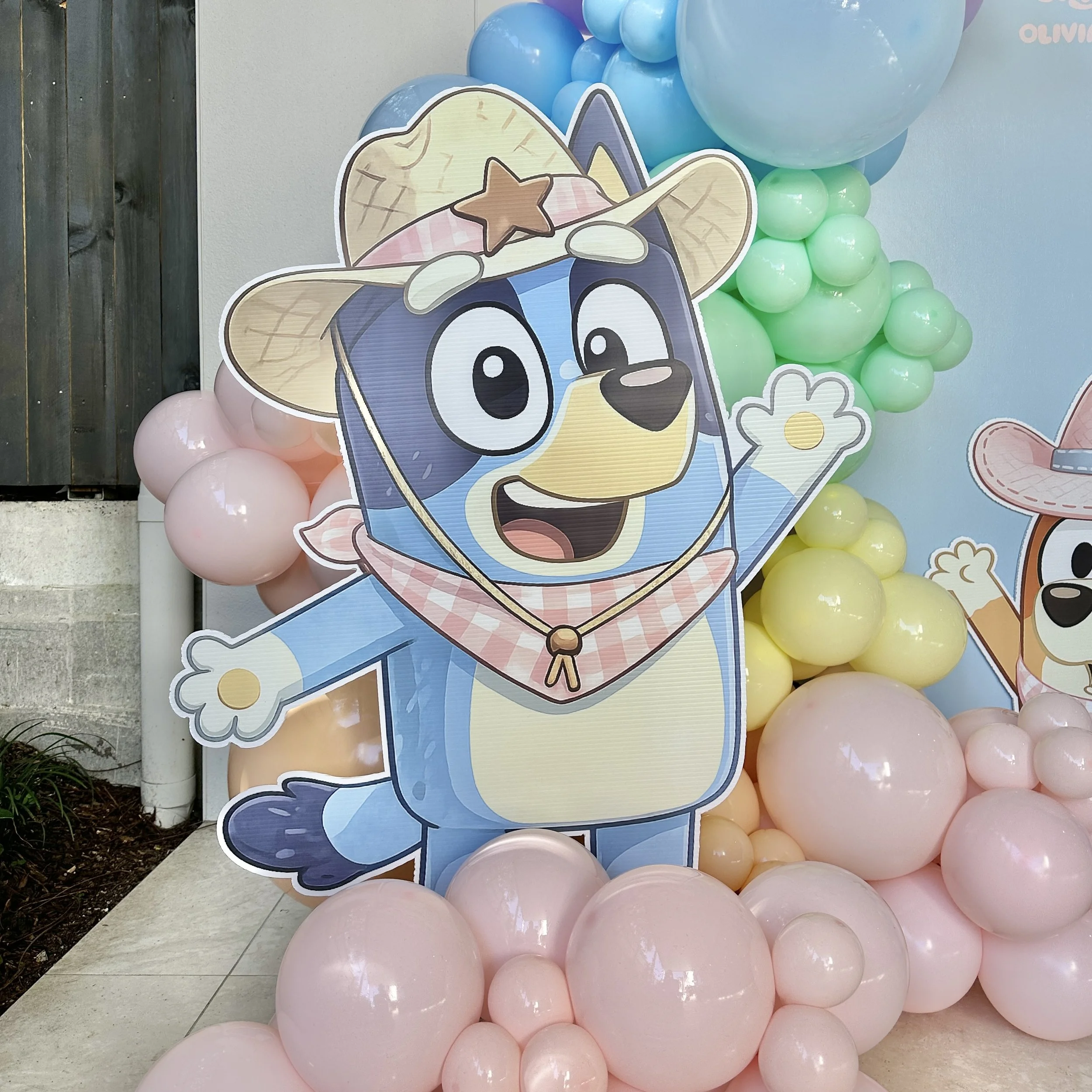 Bluey themed party character cut out for hire