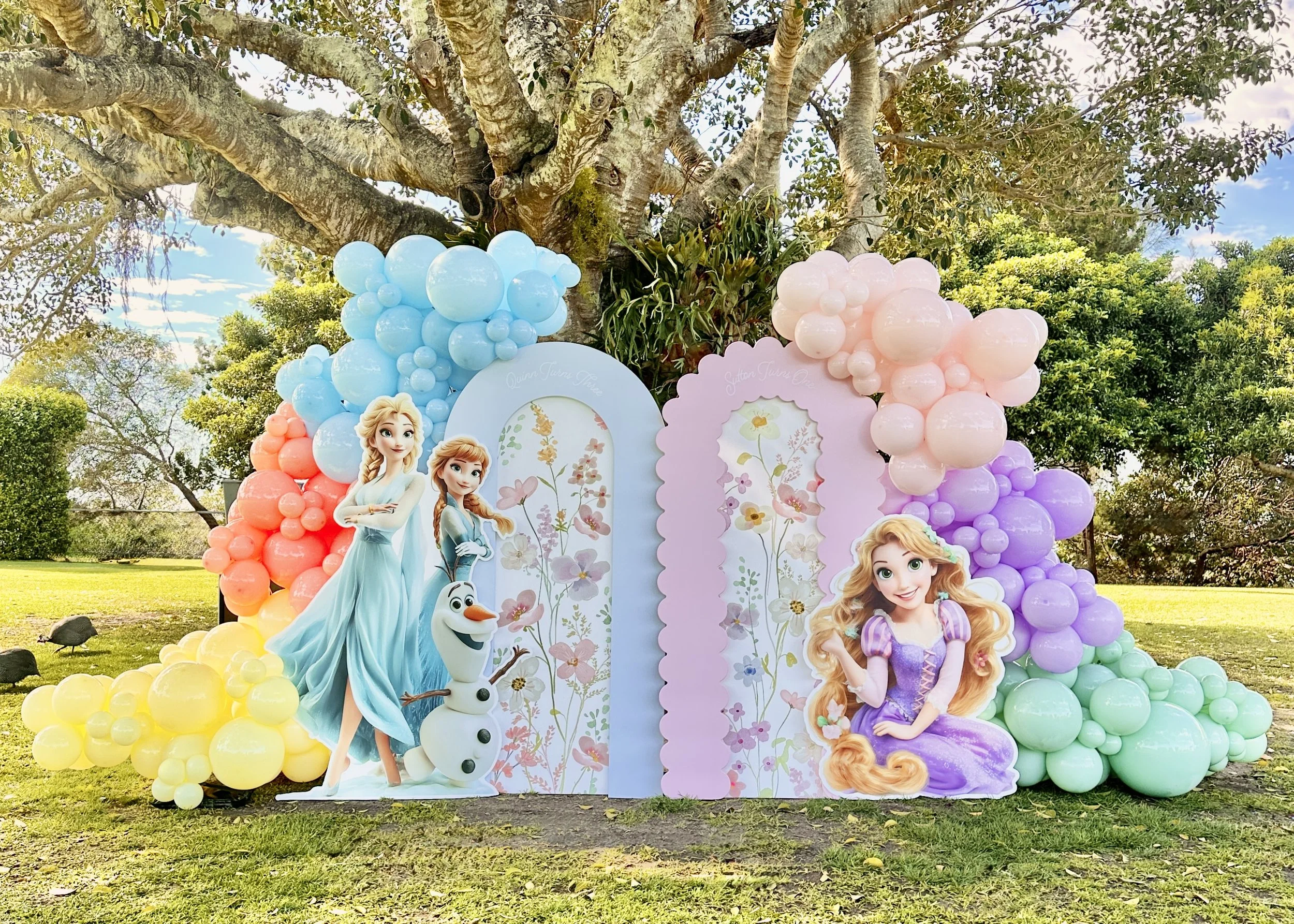 Colorful Disney princess birthday backdrops featuring Elsa and Rapunzel