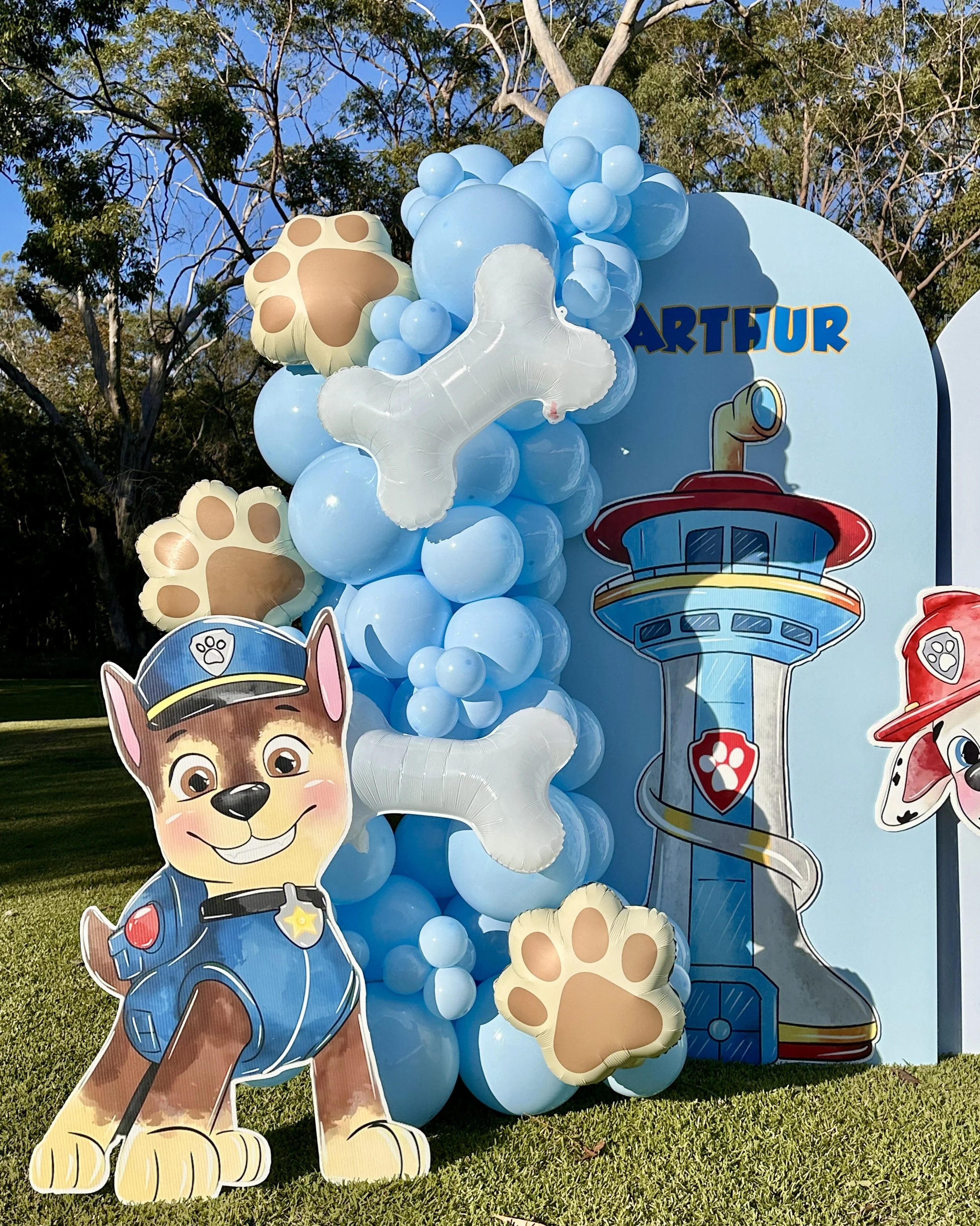 Chase Paw Patrol.JPG