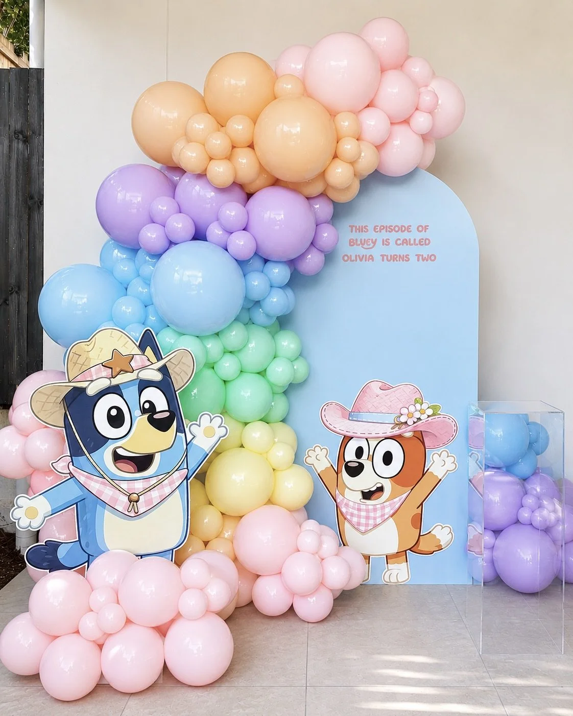 Olivia's Twoey Bluey Party.jpeg
