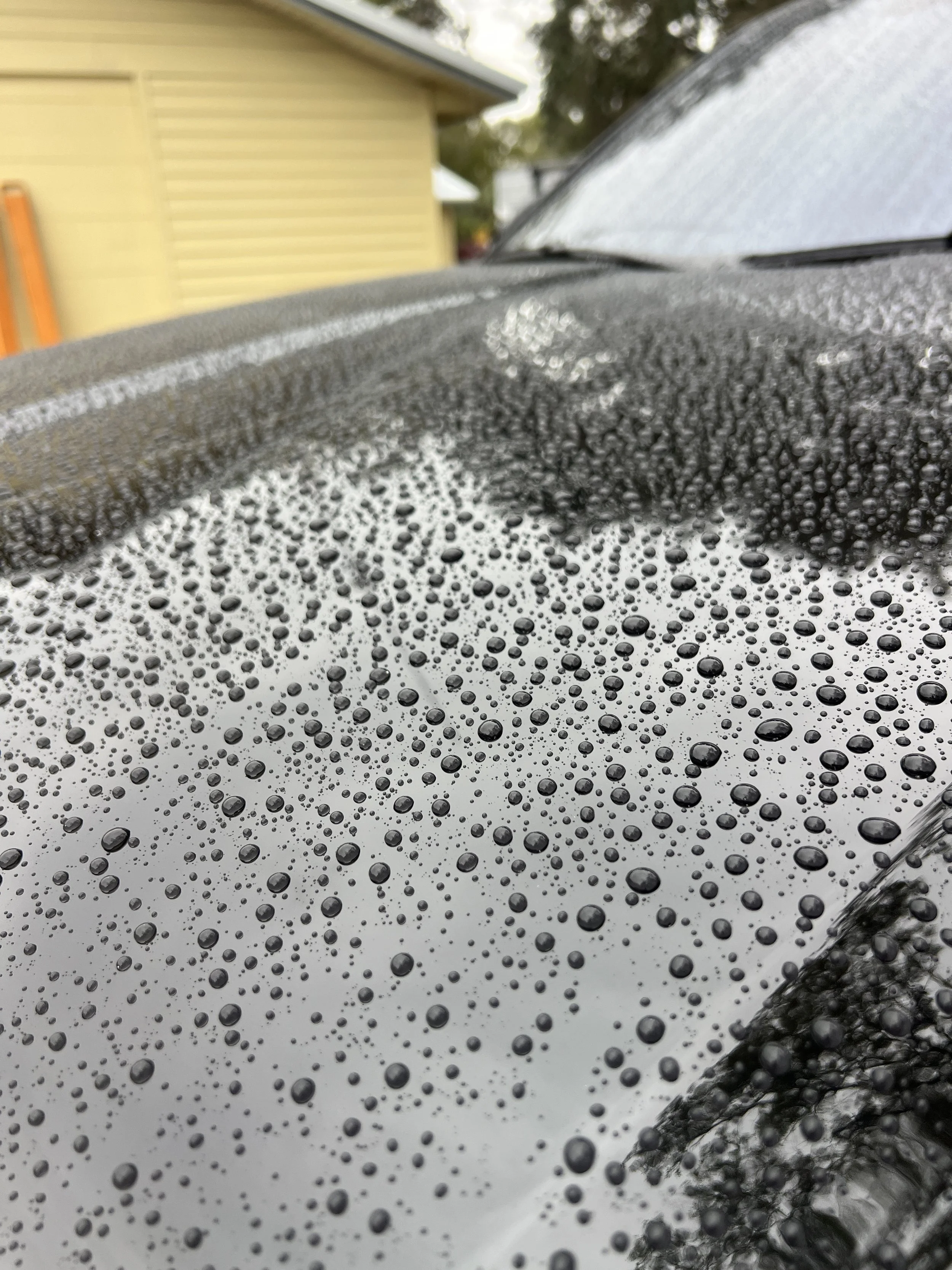Close-up of a car's hood with raindrops on its surface