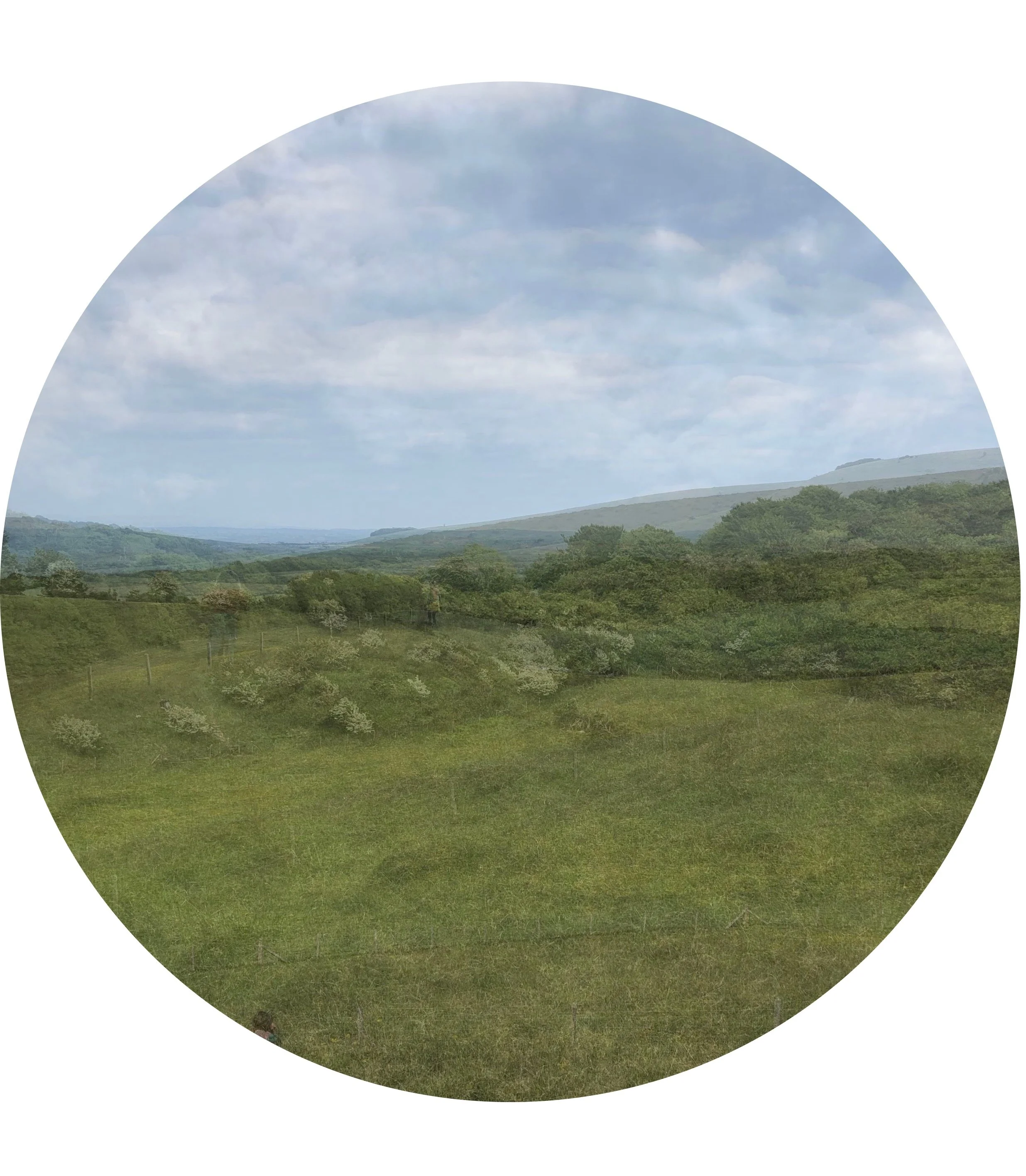 Parent and Child DDP informed Sessions