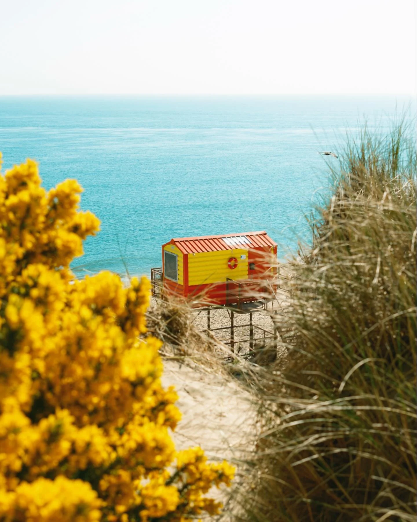 📍Brittas Bay, County Wicklow, Ireland

Driving the coast of Ireland filled my notes app with the best places to van/car camp 😂 

This spots perks:
- Gates locked at 9pm
- Washrooms
- Beautiful beach for miles 
- Ample Free Parking
- Showers
- Water