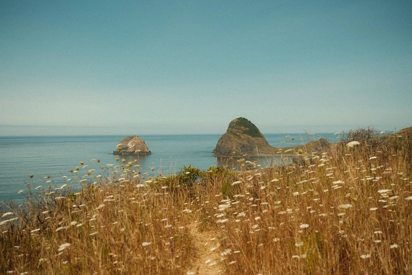 Pretty sure Oregon rest stops have the best views 🌊

 #fujifilm #fujixweekly #fujixweekly_recipe #oregoncoast #traveloregon #traveloregoncoast