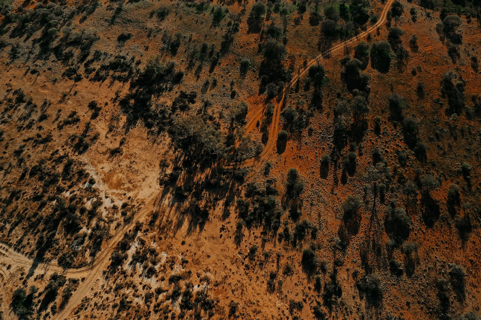 Western Desert Youth Ranger Program
