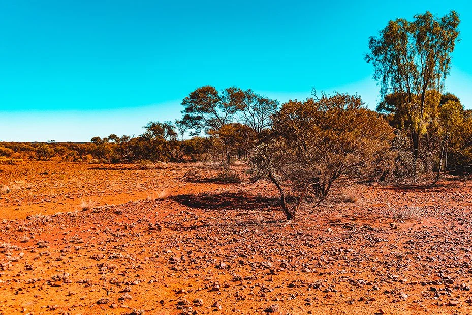 A Sustainable and Ethical Essential Oil