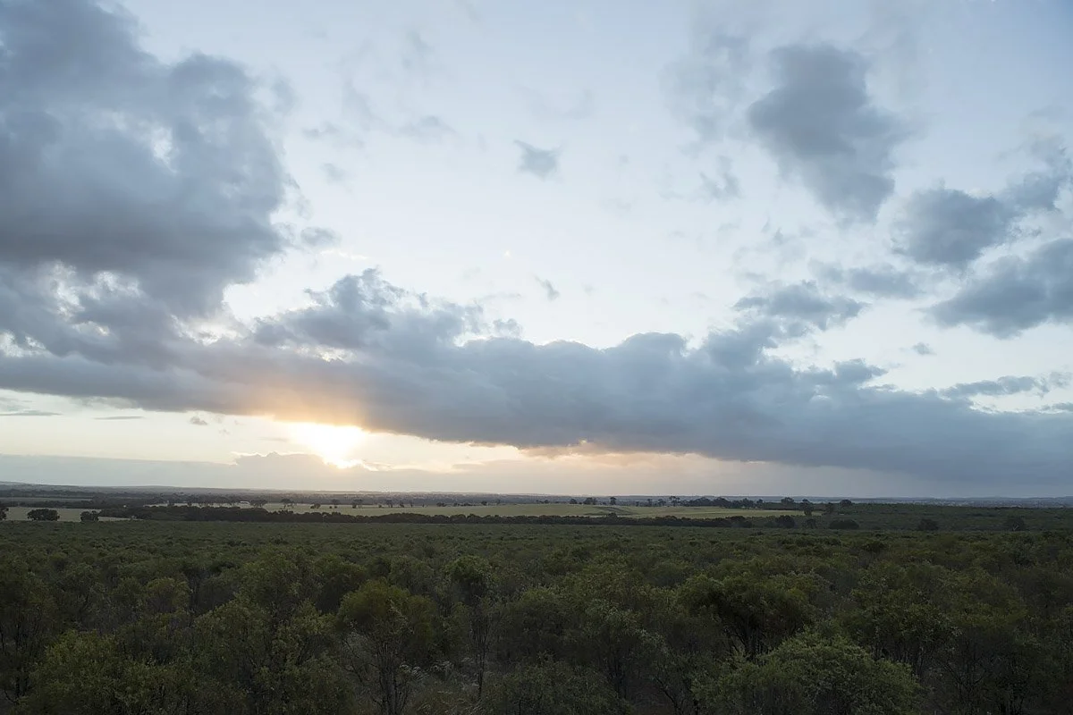 Dutjahn Landscape 08_LR.jpg