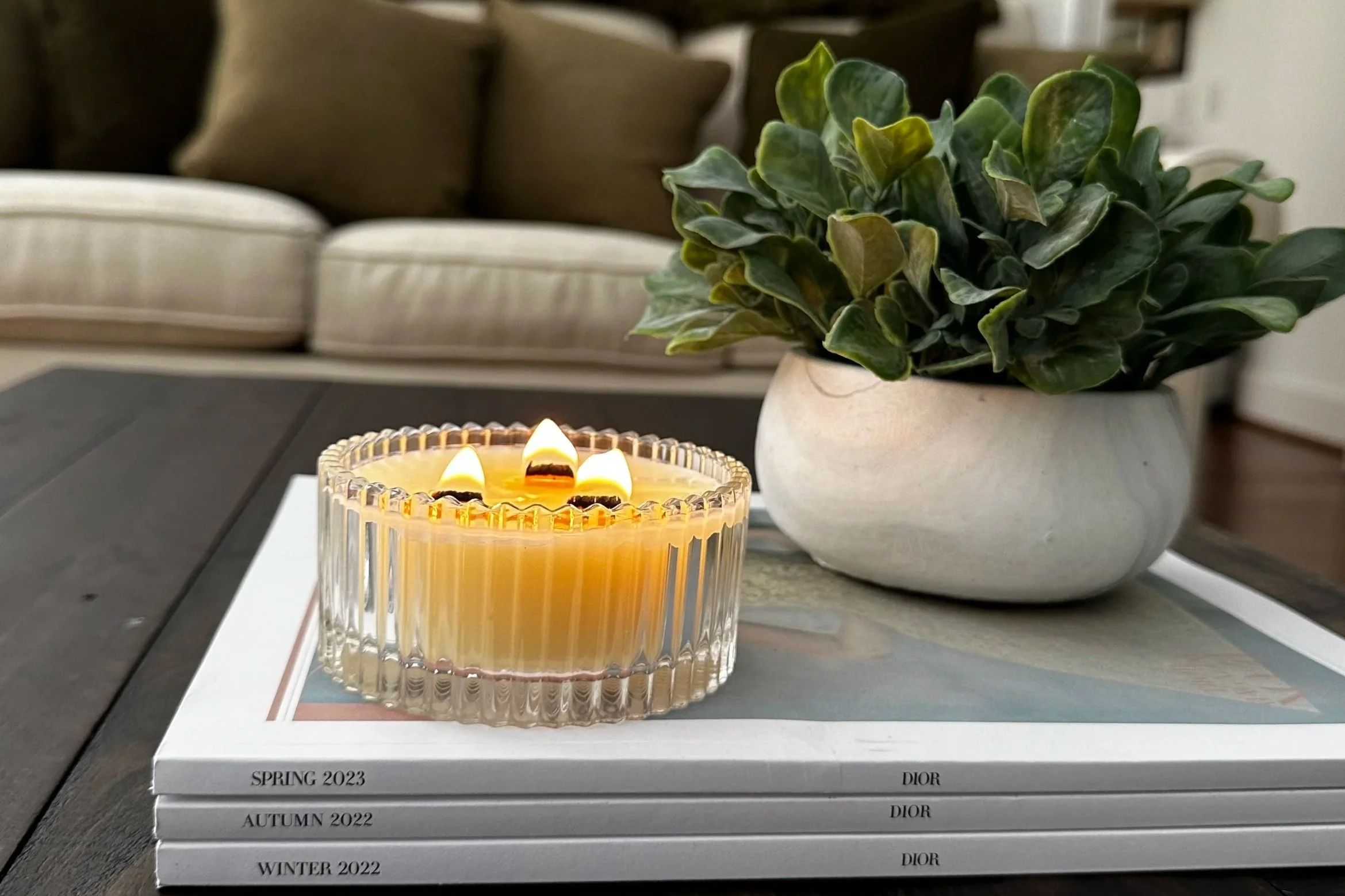 A lit candle in a glass holder, a white ceramic pot with green leafy plant, and three hardcover books labeled SPRING 2023, AUTUMN 2022, and WINTER 2022 placed on a dark wooden table in a living room.