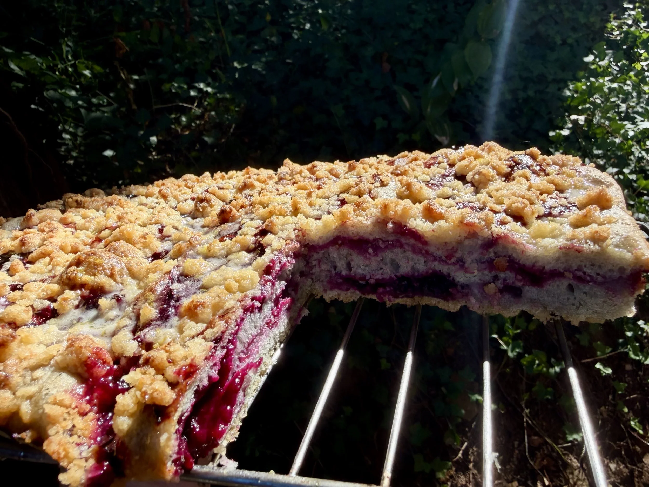 Blueberry2.jpeg