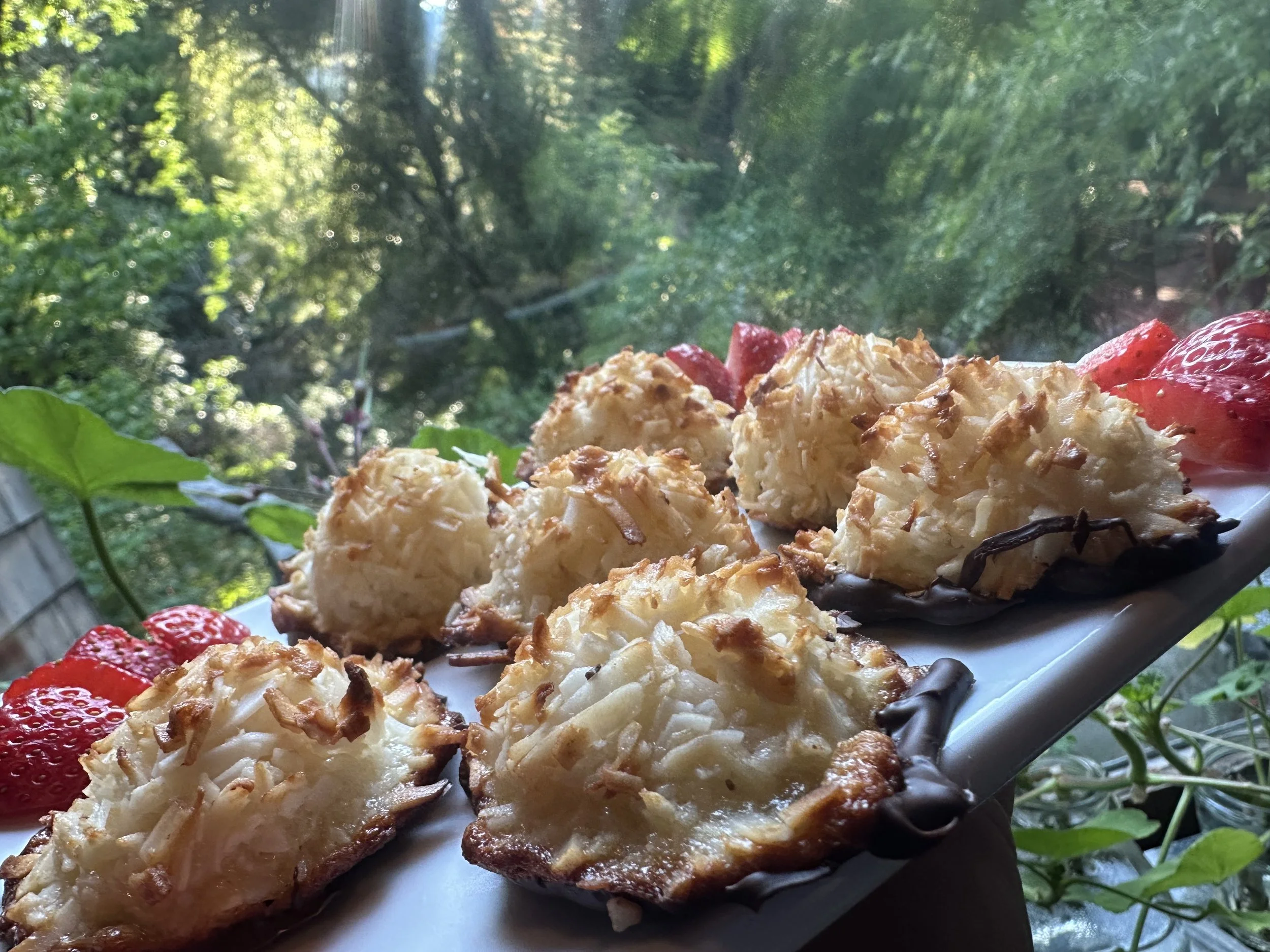macaroons.jpeg