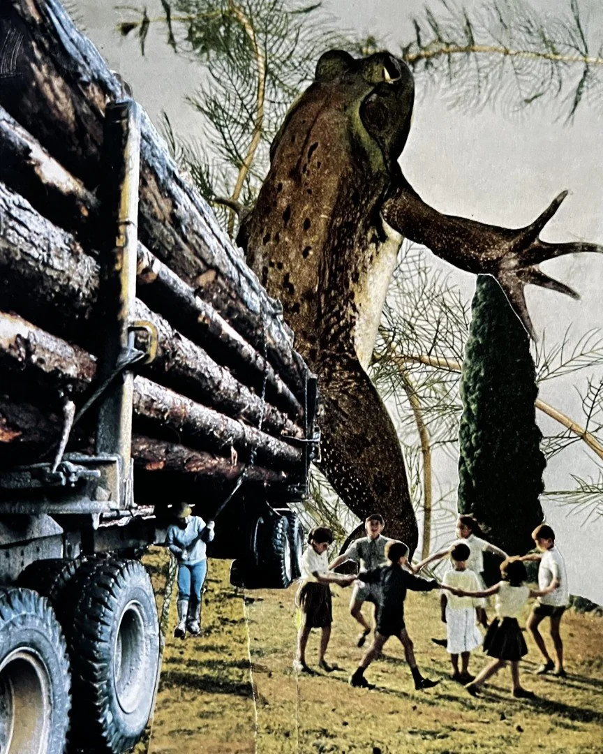 Tree      2025      20 x 16 cm   Analogue collage 