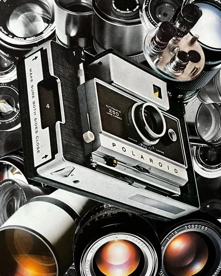 Biometrics       2025      20 x 16 cm   Analogue collage 