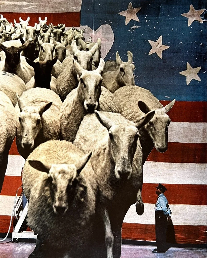 Election     2025     20 x 16 cm   Analogue collage 