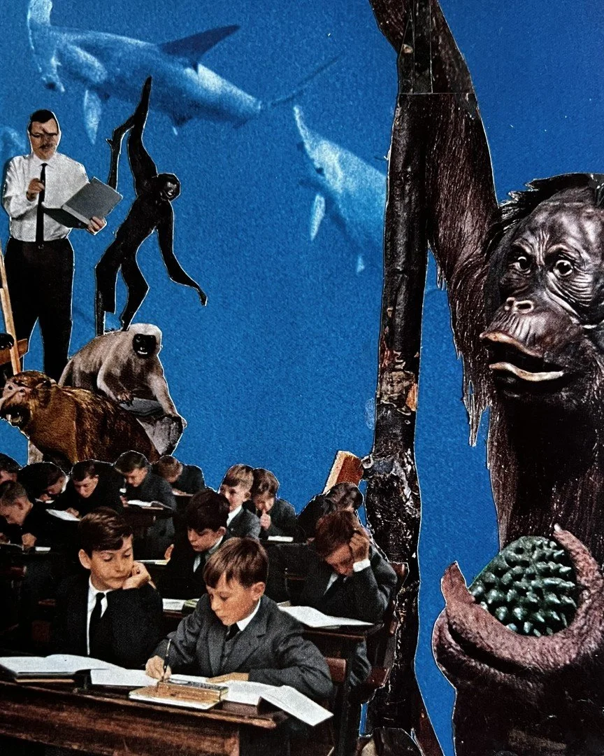 School        2025     20 x 16 cm   Analogue collage 