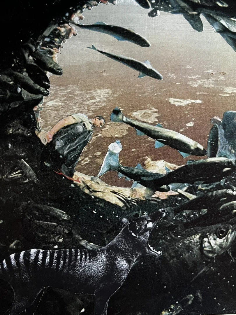Thylacine of the Sea      2025      20 x 16 cm   Analogue collage 