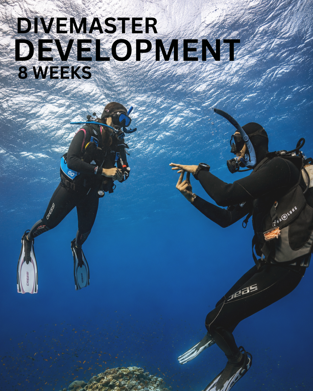 Divemaster Development