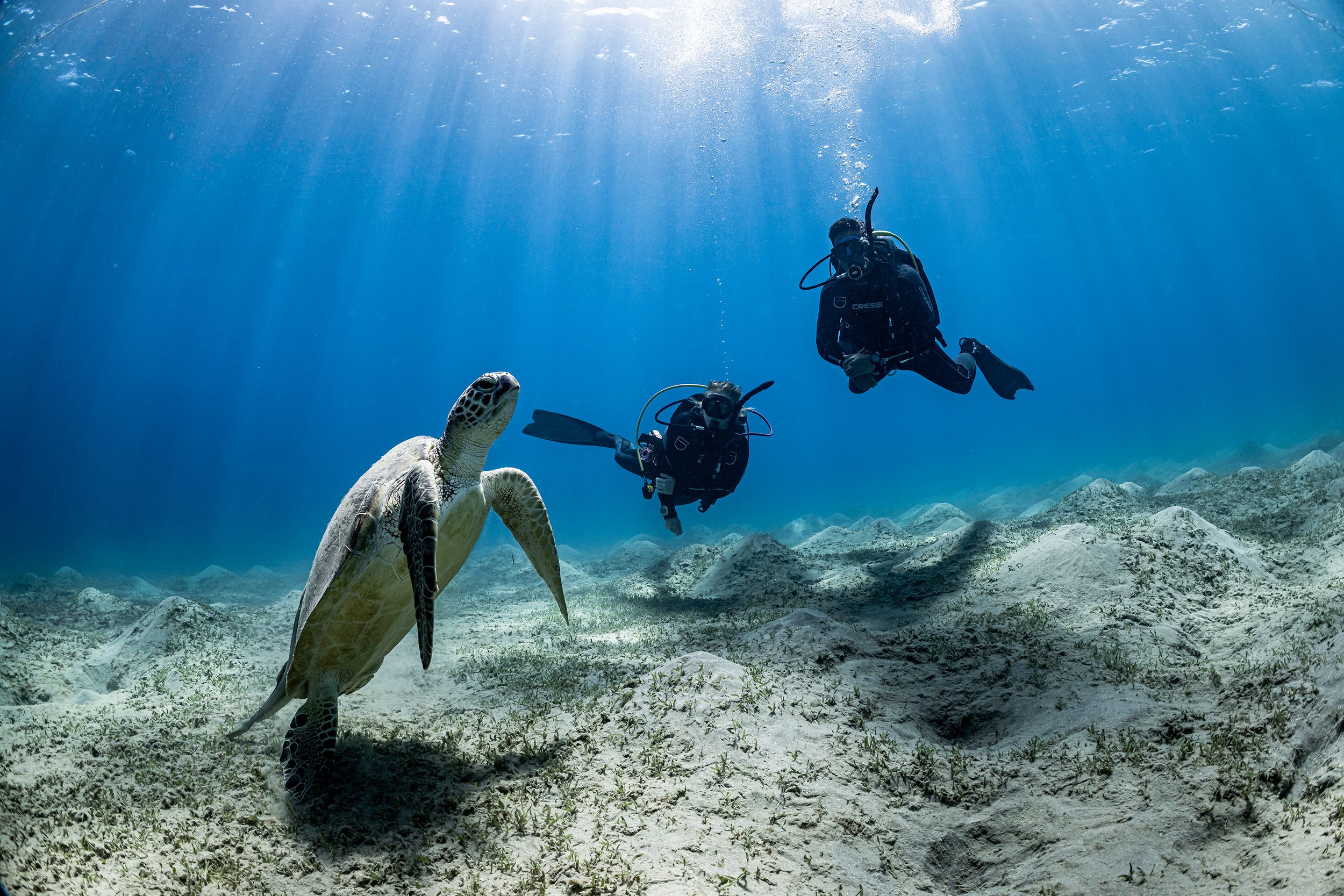 PADI Open Water Diver