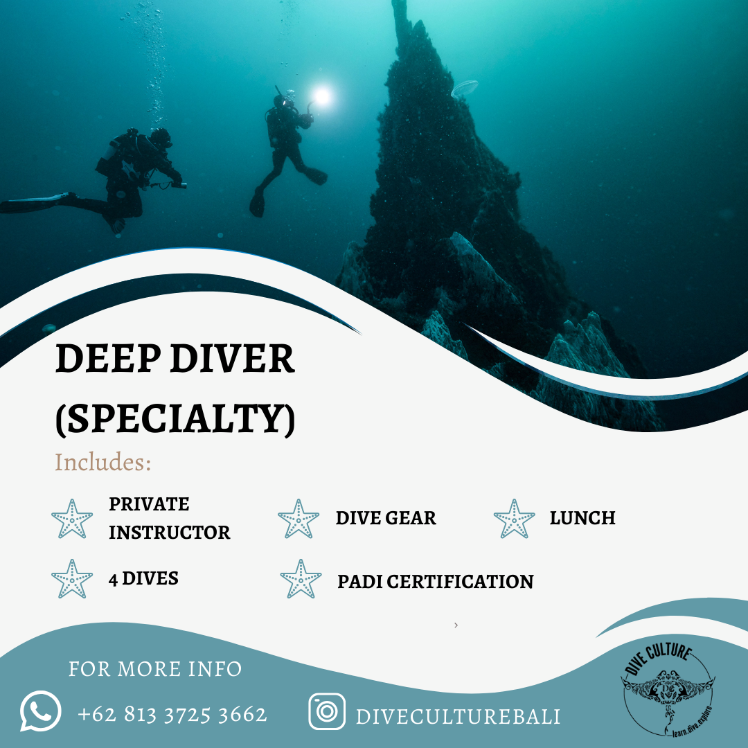 Deep Diver Specialty