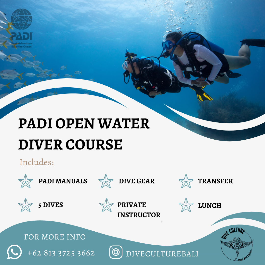 PADI Open Water Diver