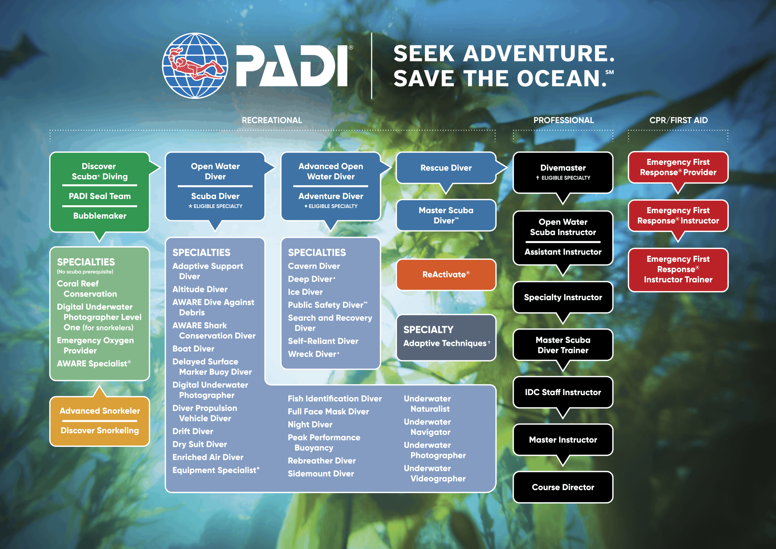 PADI diving amed bali