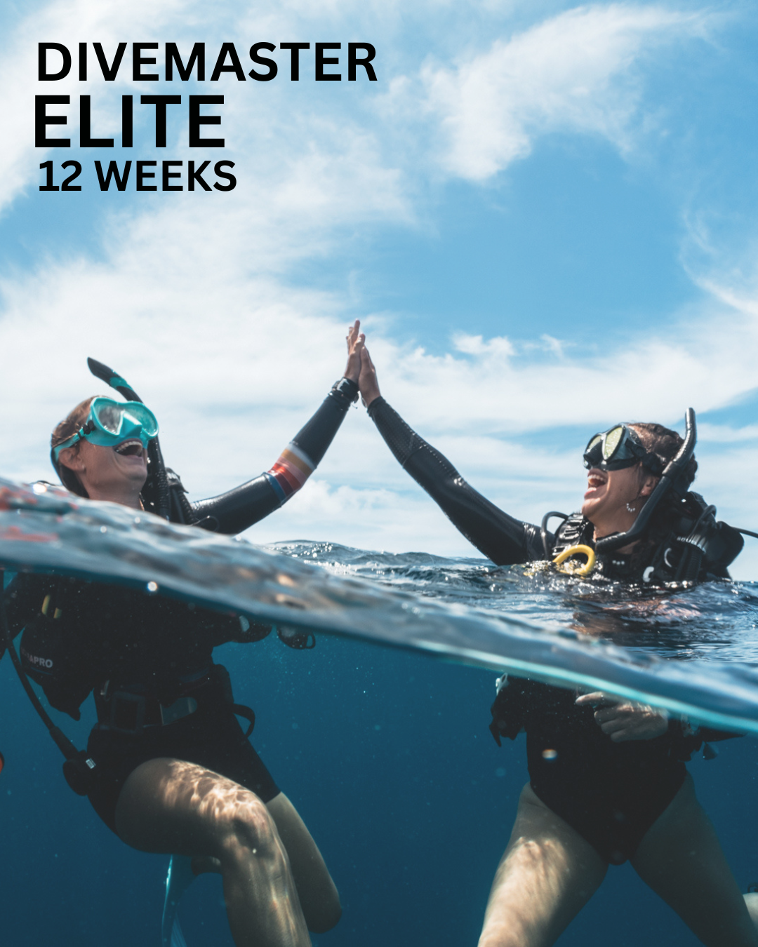 Divemaster Elite