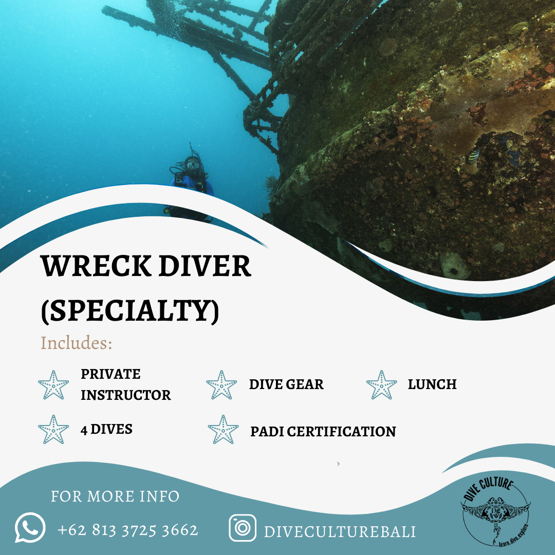 Wreck Diver Specialty