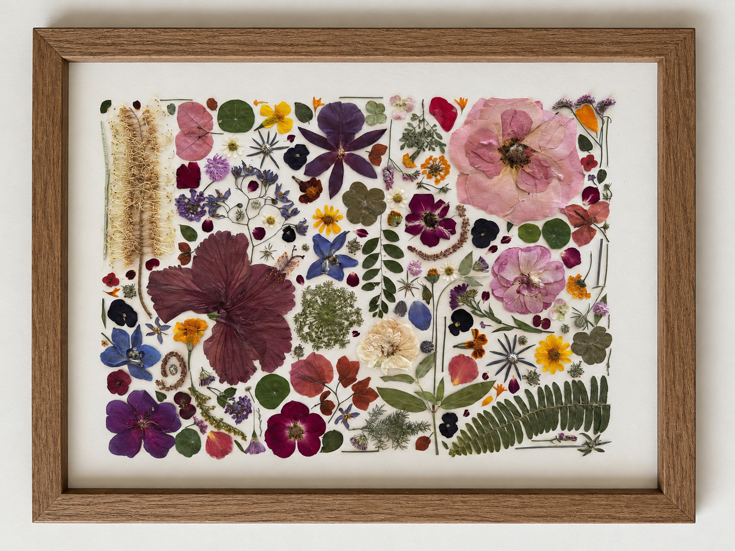 A framed display of various dried flowers and leaves arranged on a white background.