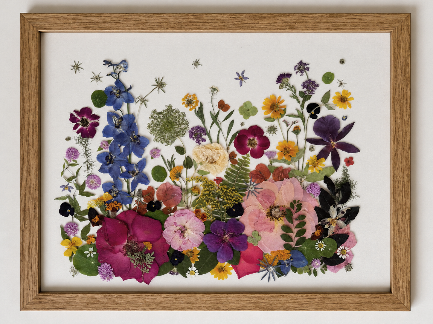A framed collage of pressed flowers arranged on a white background, showcasing various colorful blooms.