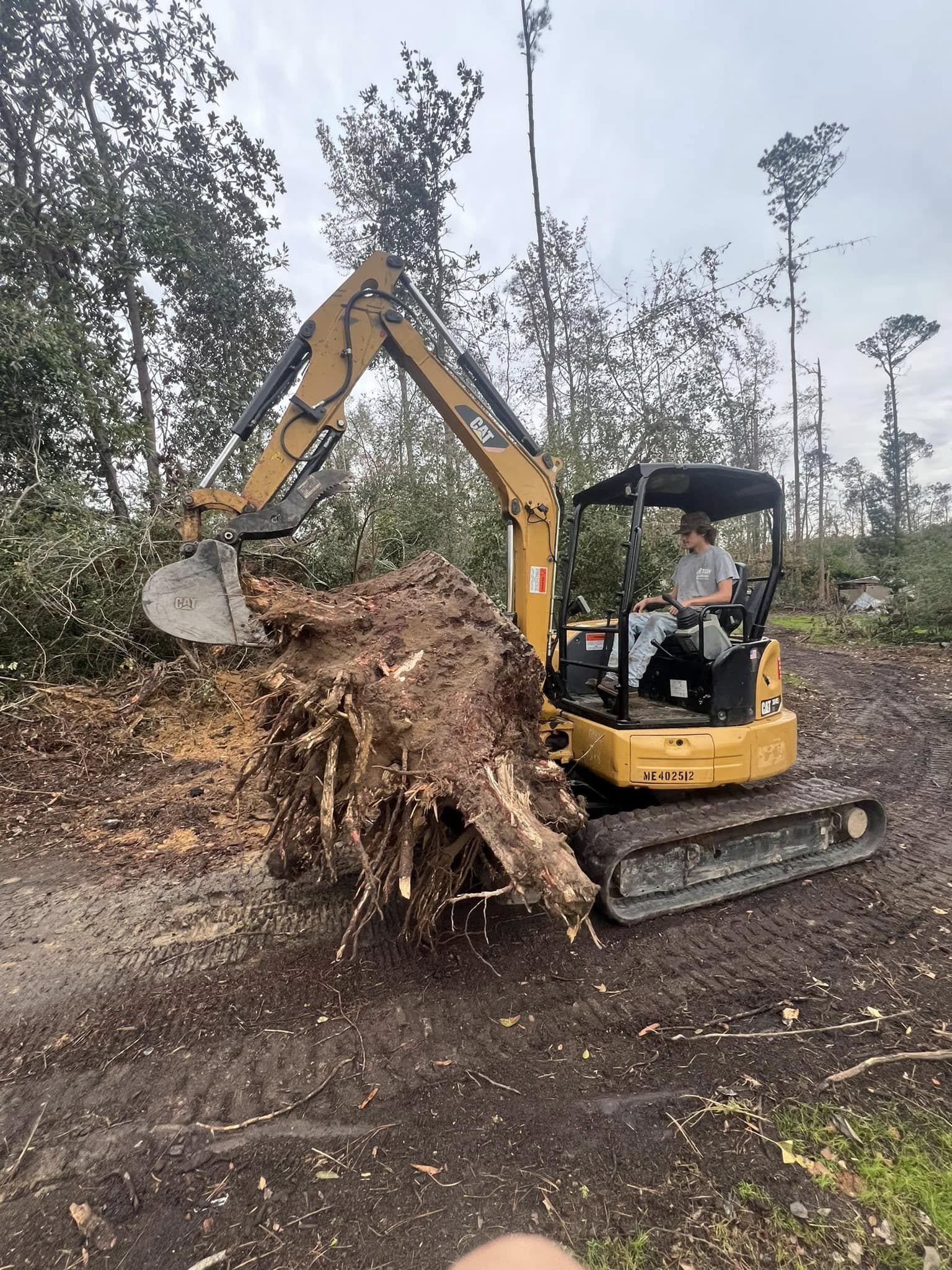 Tree Removal Projects