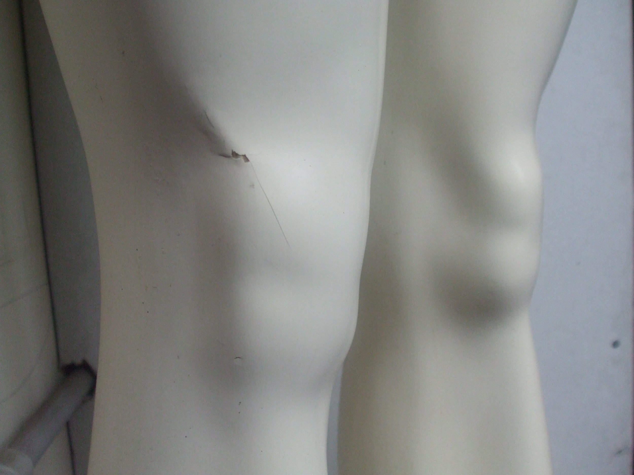 DSCF6122.JPG