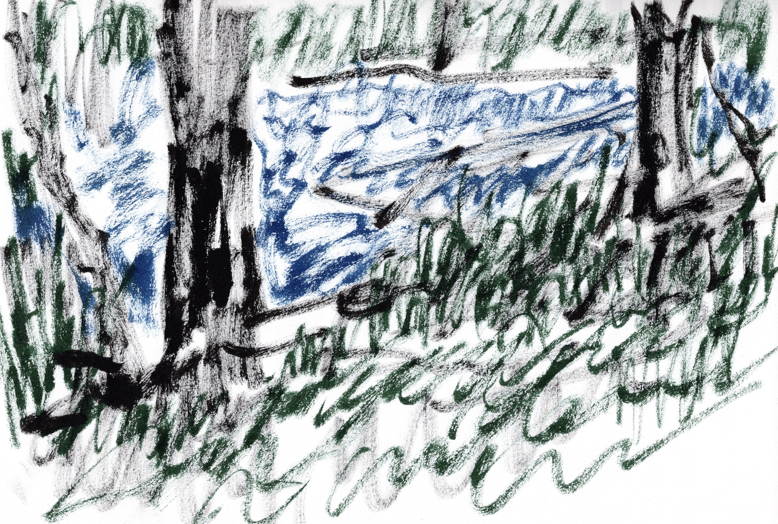 20260123-1647_003.JPG