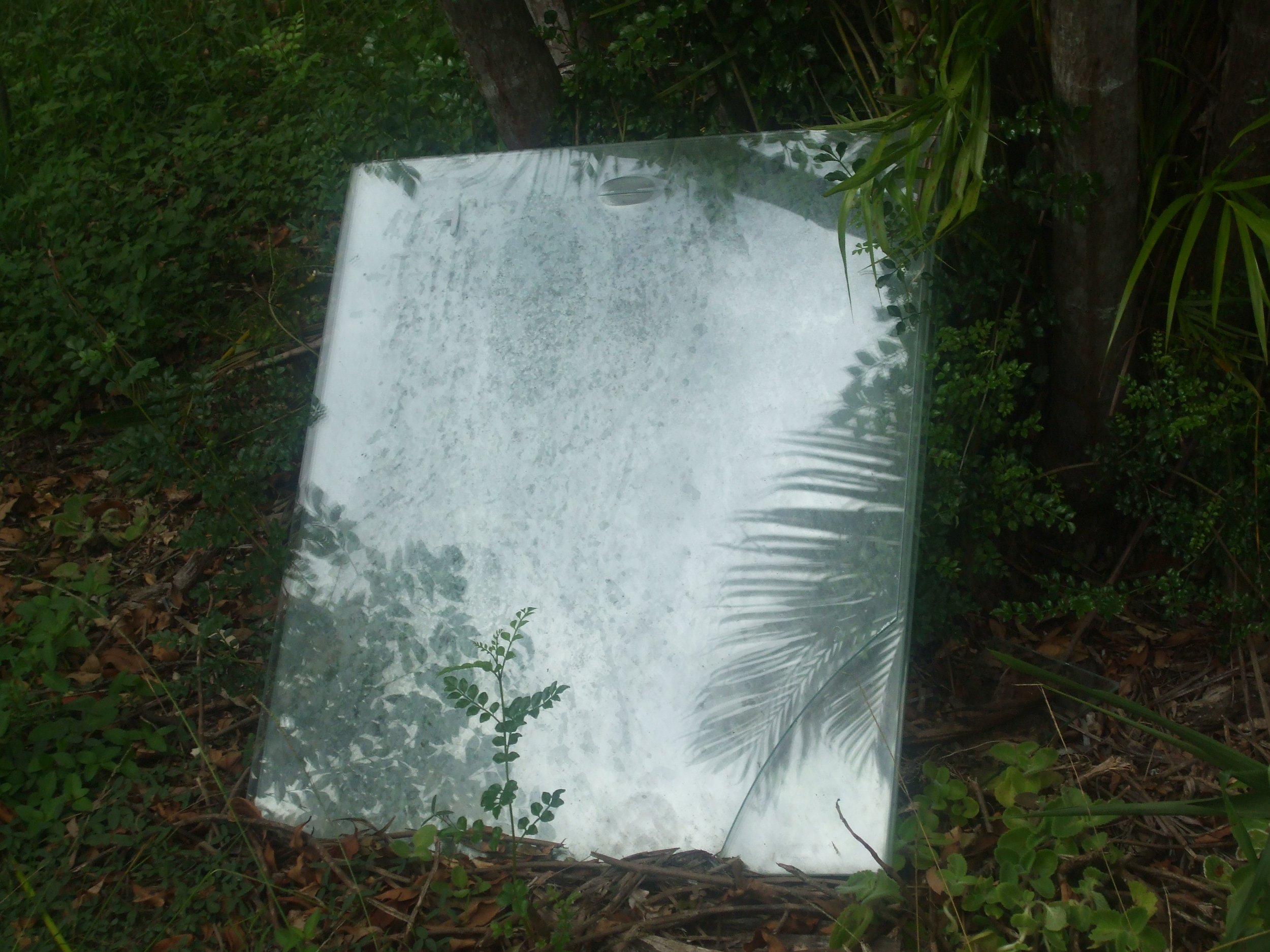 DSCF7148.JPG
