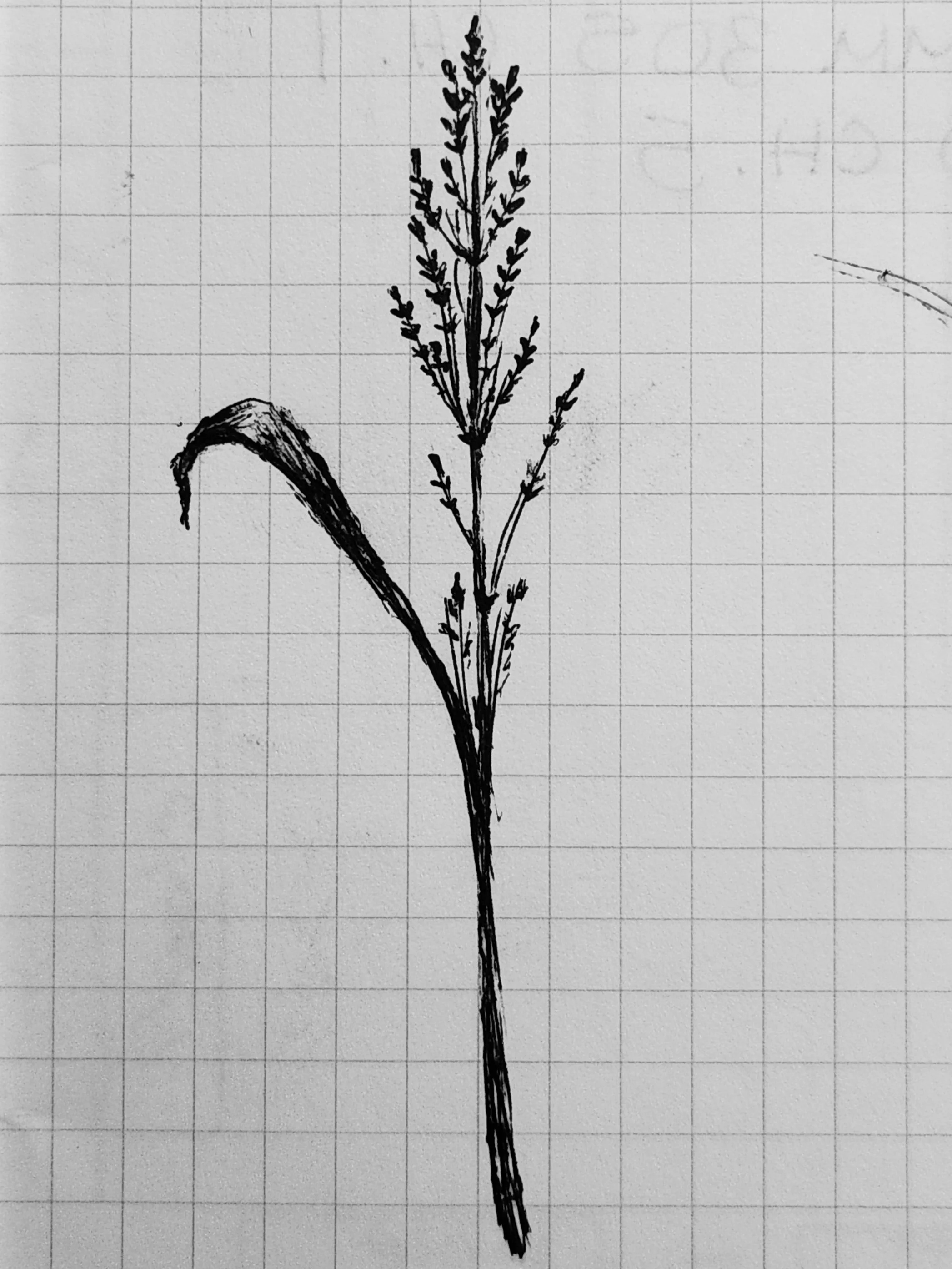 Ballpoint pen