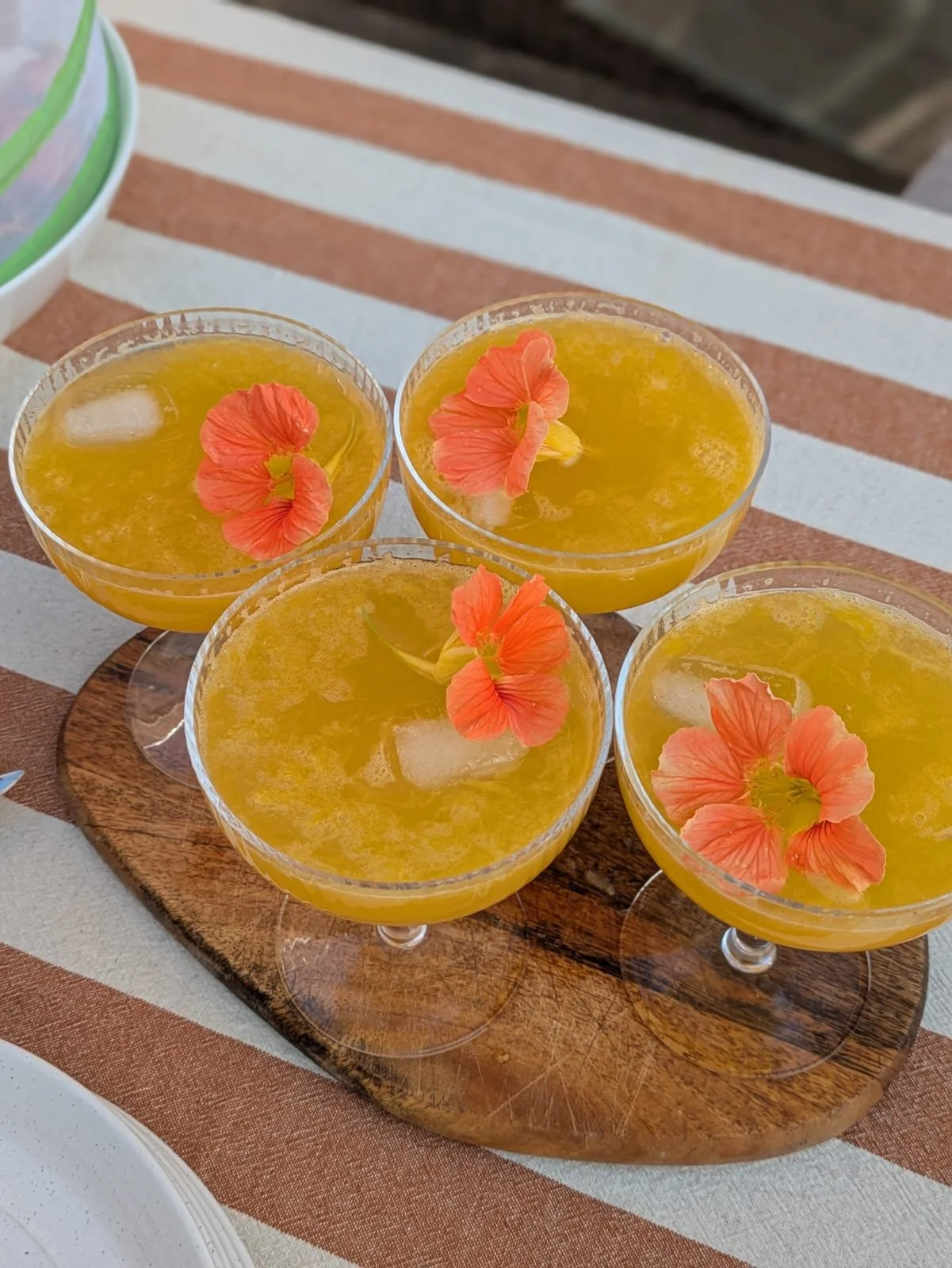 Mimosa’s