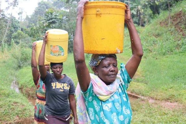 Tres mujeres llevando baldes amarillos en la cabeza en un entorno natural