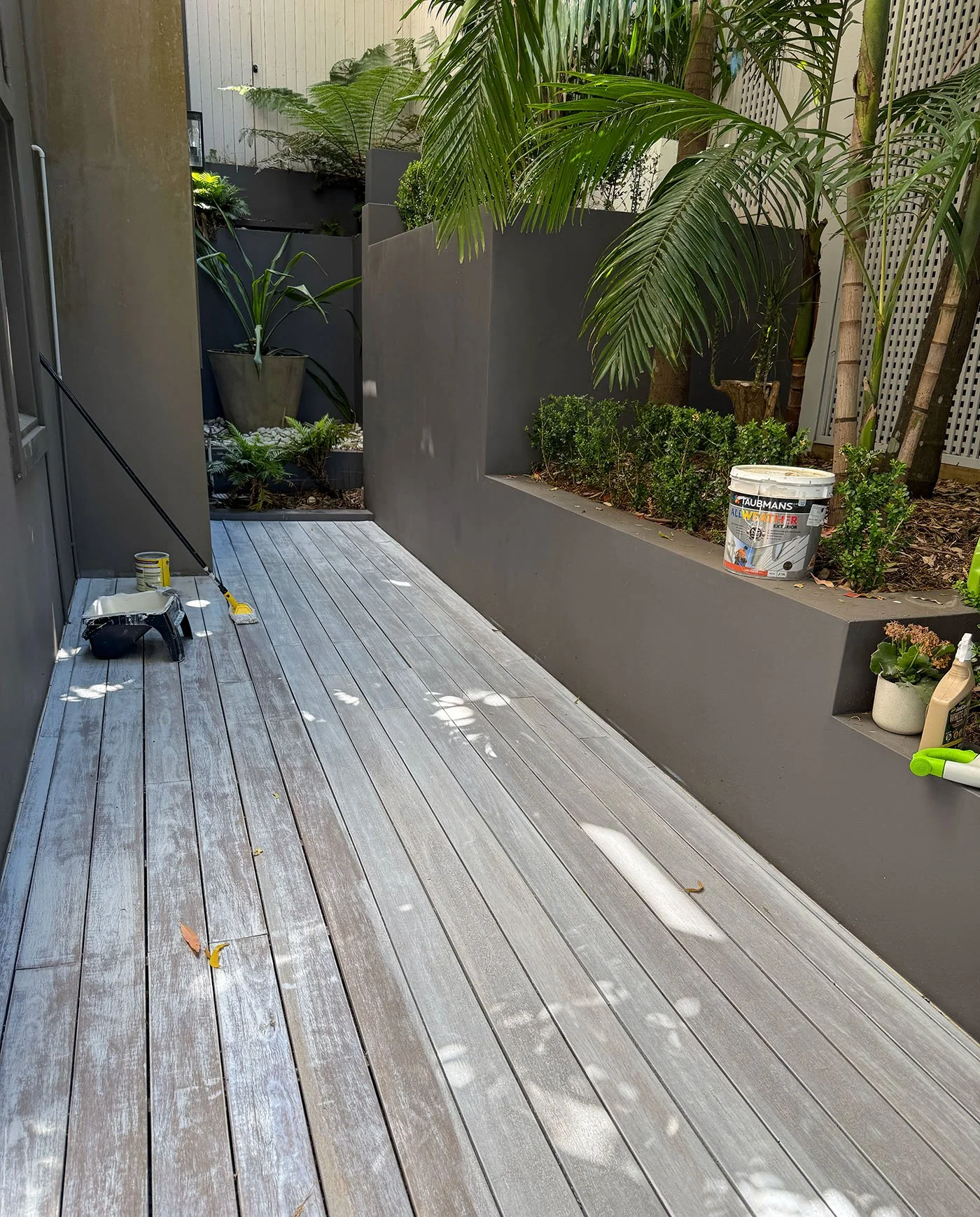 Timber deck restoration and deck oiling completed for a residential home in Bondi, Sydney