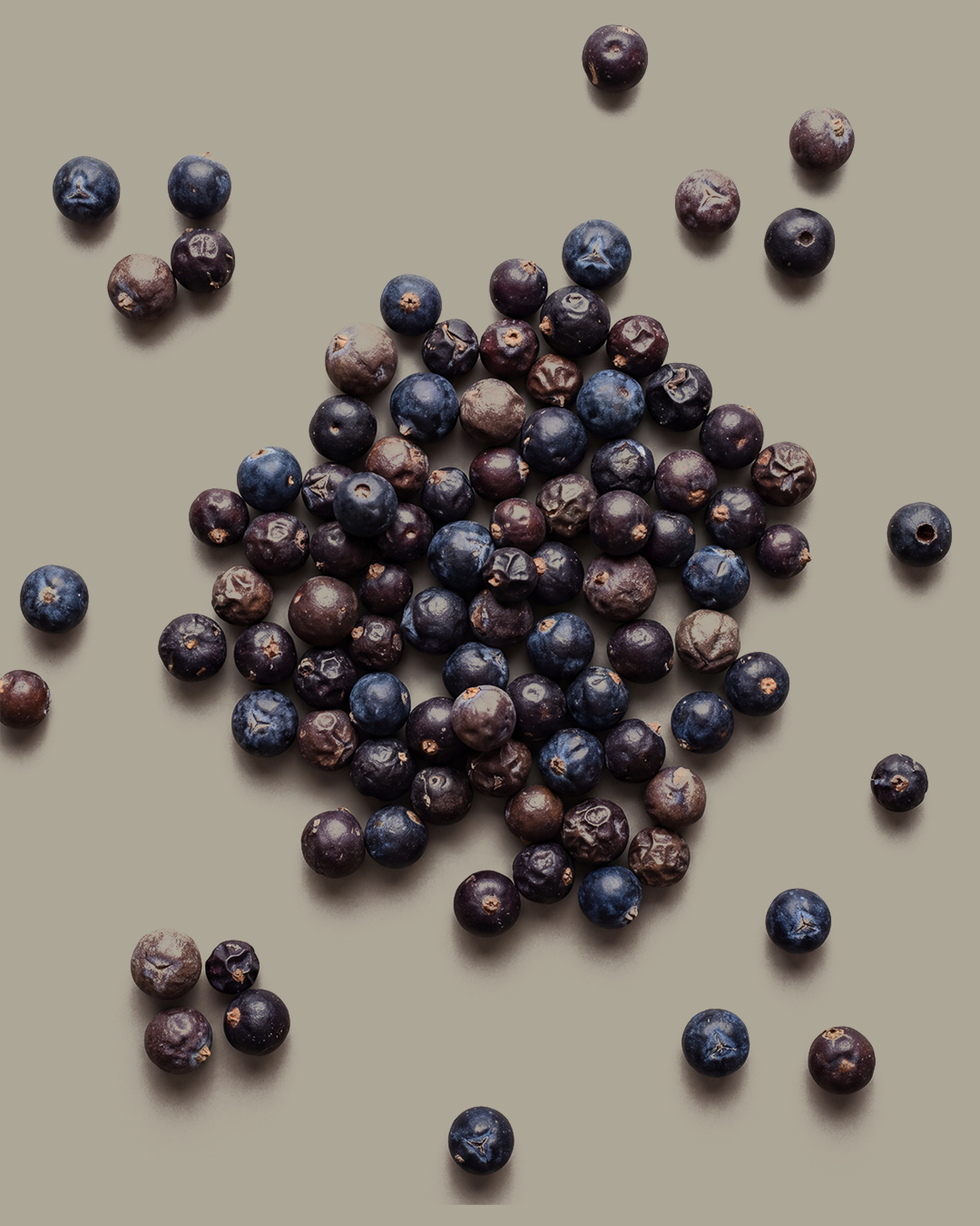 Groseilles noires disposées sur un fond beige, certaines sont groupées et d'autres dispersées autour.