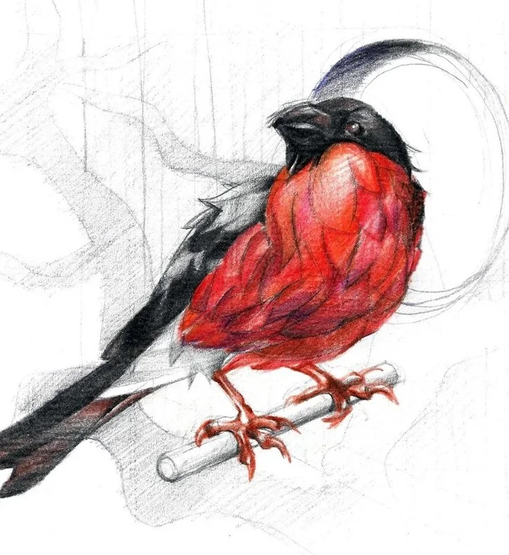 Multi-Colour Pencils (on bond)