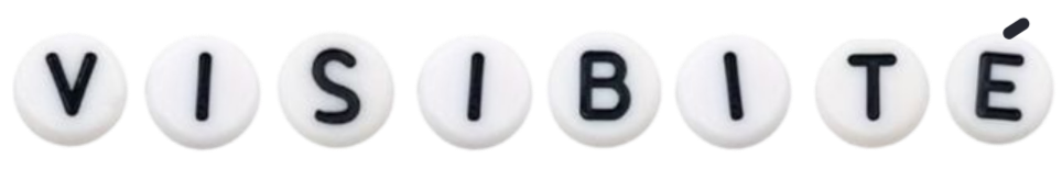 Offre Visibilité - stratégie social media et développement de présence en ligne.