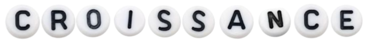 Offre Croissance - — gestion et optimisation des campagnes publicitaires pour développer la visibilité.