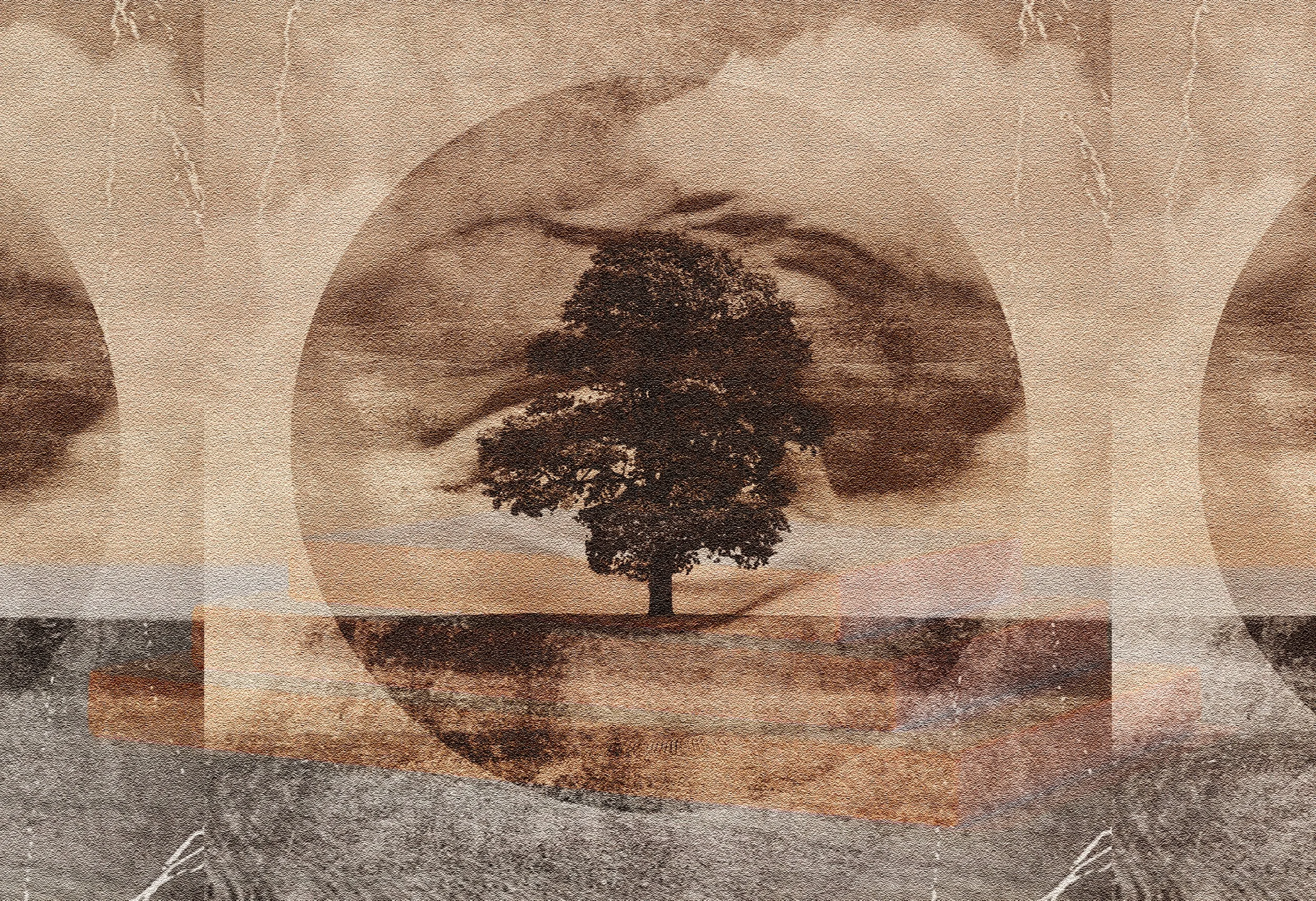 A sepia-toned photograph of a lone tree on a grassy landscape, framed within circular haze on a textured background.