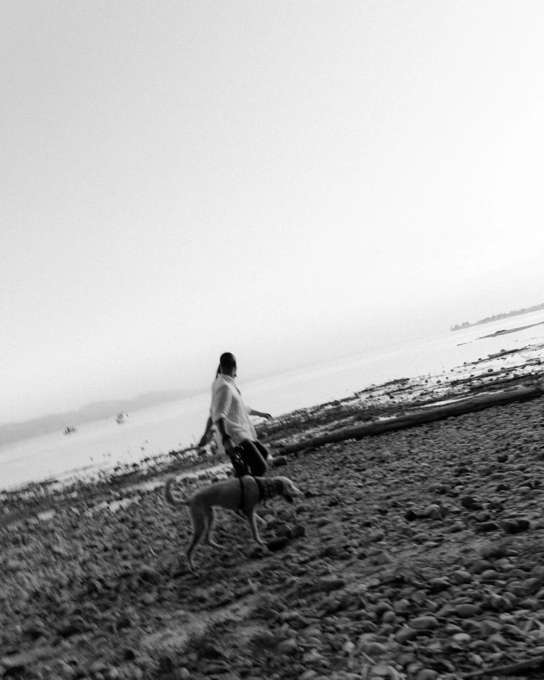 Ein Jahr verheiratet. Jetzt mit Hund. Der Bodensee im Abendlicht.

Mehr braucht es manchmal nicht f&uuml;r Bilder, die ans Herz gehen. 🌅🐾

Danke Ihr S&uuml;&szlig;en, dass wir uns wiedersehen konnten!

______________________________________________