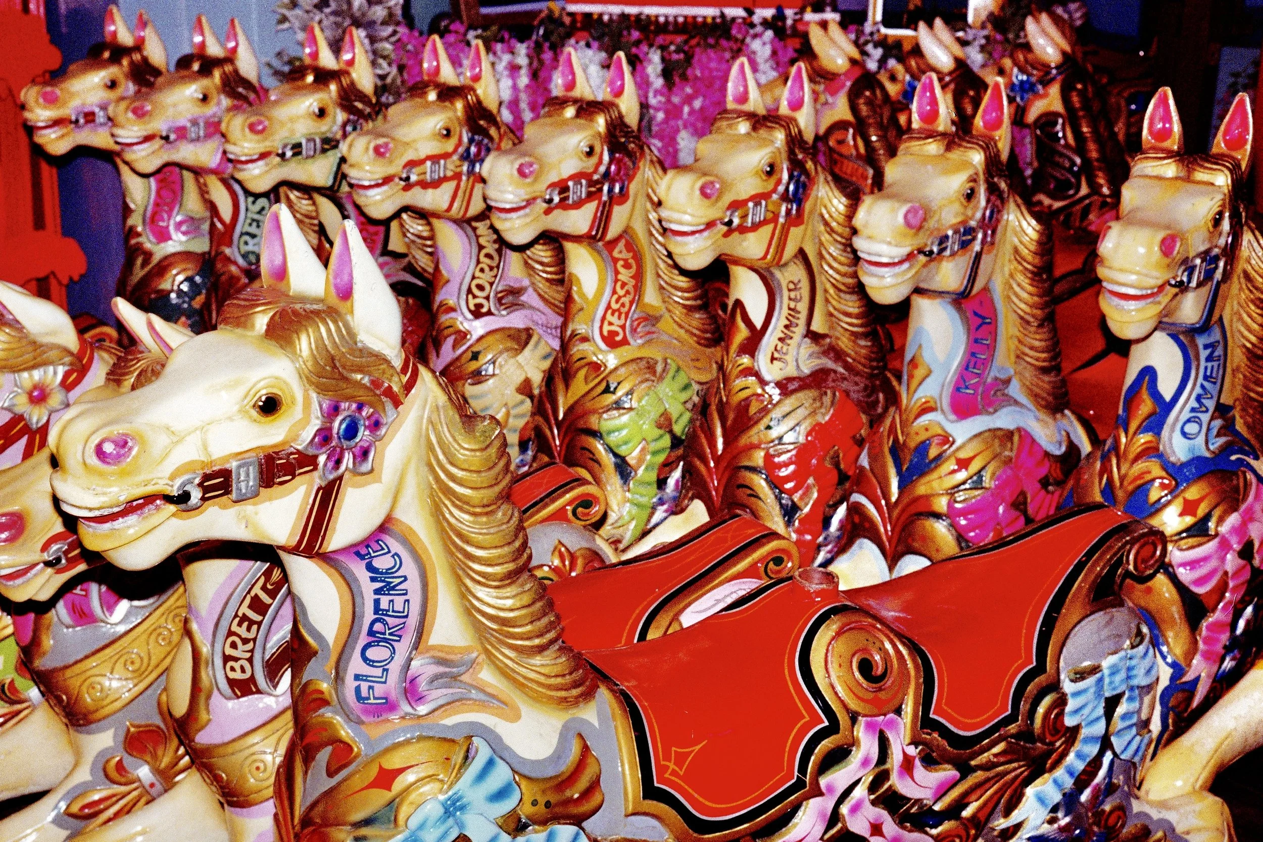 Photo 06-03-2026, 11 14 18 (5).jpg